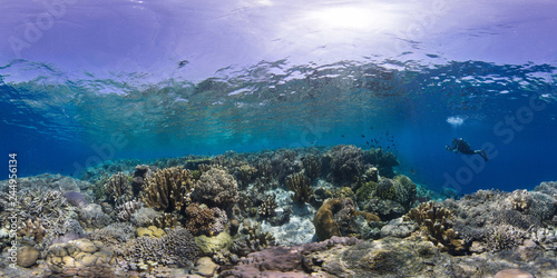 Coral reef Manado Indonesia