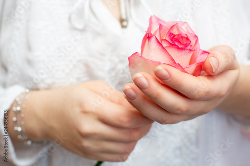 Schilderij op canvas Pink rose in the hands of a ga pink rose in the hands of a girl