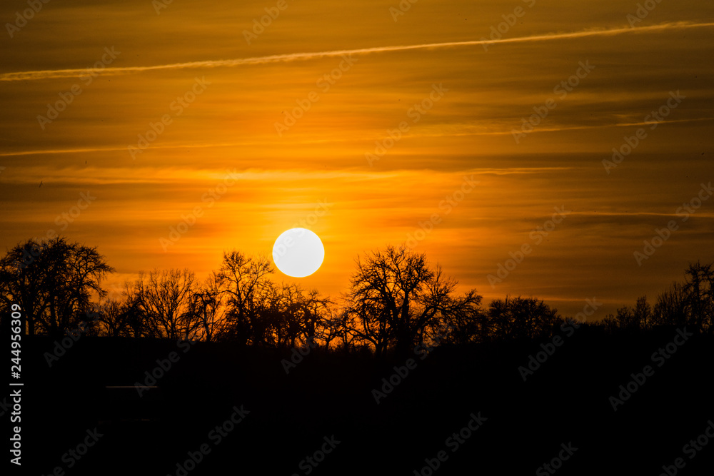 Schöner Sonnenuntergang mit Baumschattenbild.
Gelb farbige schöne Naturszene des Himmels Schöner Sonnenuntergang mit Baumschattenbild.
Gelb farbige schöne Naturszene des Himmels