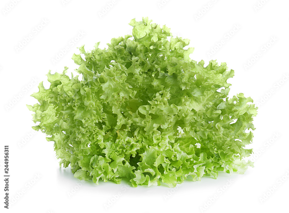 Fresh lettuce salad on white background Fresh lettuce salad on white background
