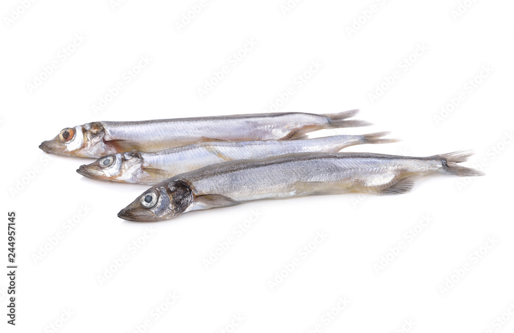 whole round fresh shishamo fish on white background whole round fresh shishamo fish on white background