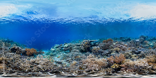 Fototapeta Naklejka Na Ścianę i Meble -  Healthy coral reef in Raja Ampat Indonesia panorama