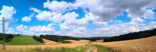 Panorama of summer field and dirty road
