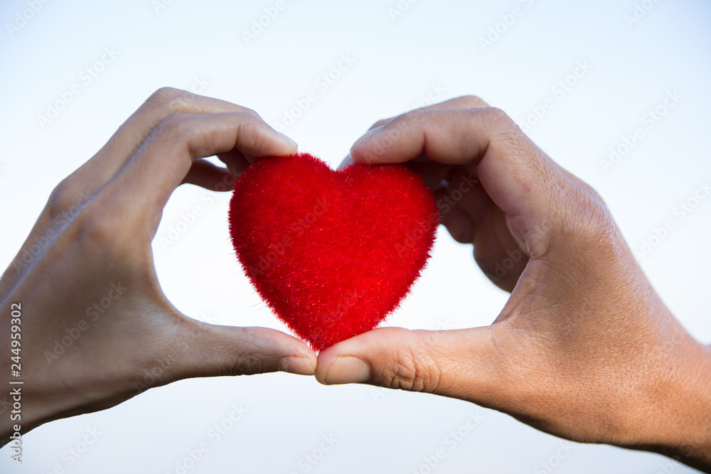 Obraz premium Red heart in woman and man hands, hands holding a soft heart shape, Couple love, Valentine's Day.