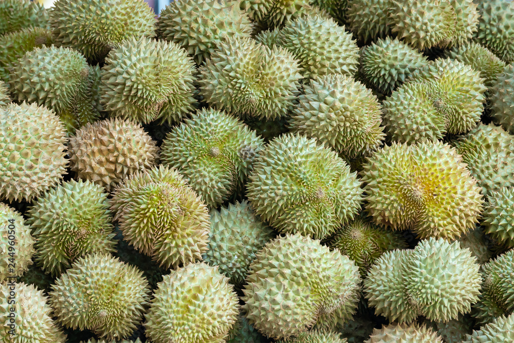 durian background and texture. Thai fruit. durian background and texture. Thai fruit.
