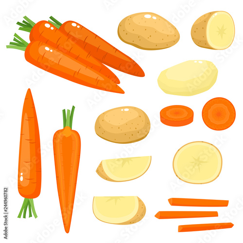 Bright vector illustration of carrot, potato isolated on white