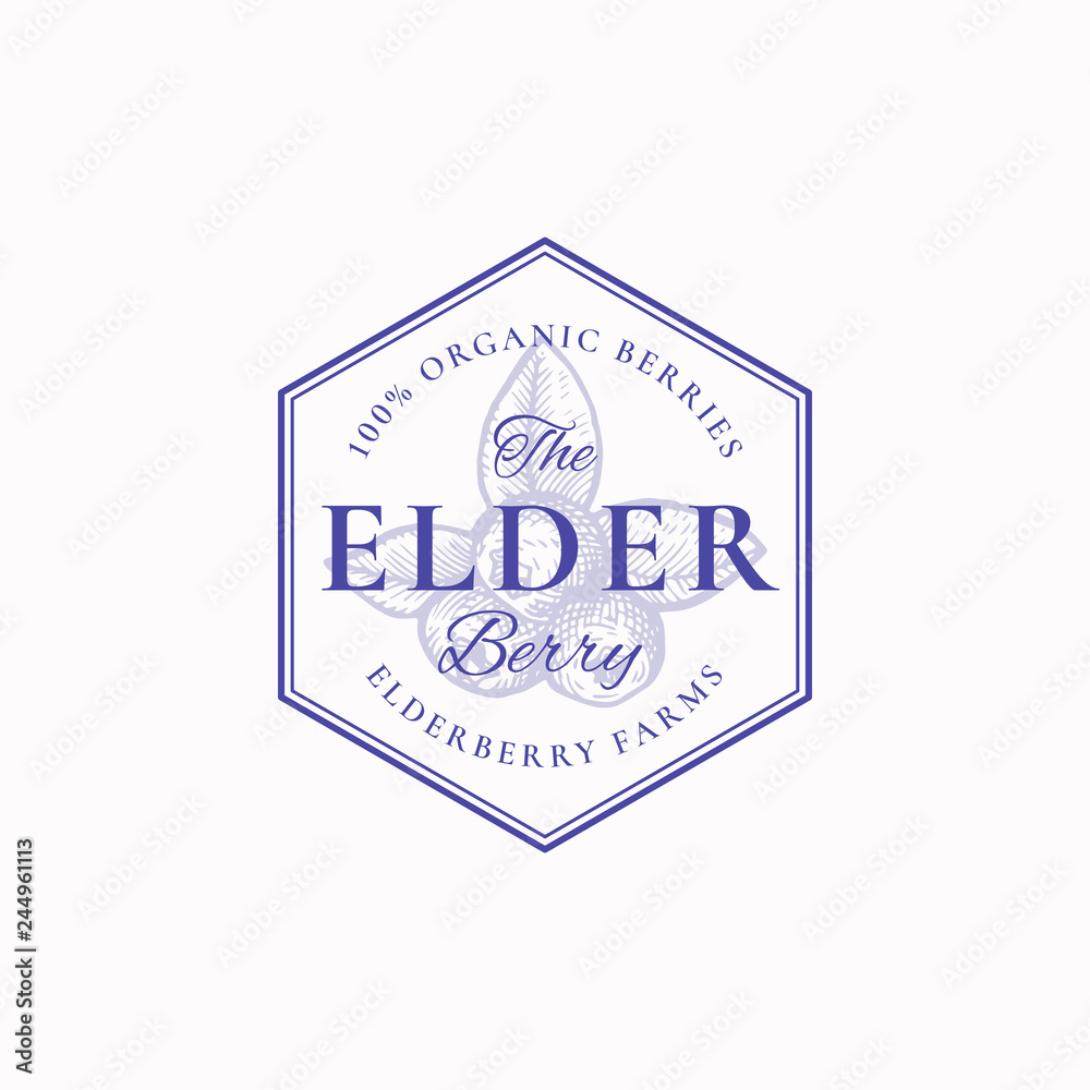 Elderberry Farm Badge or Logo Template. Hand Drawn Berries with Leaves Sketch with Retro Typography and Borders. Vintage Premium Emblem.