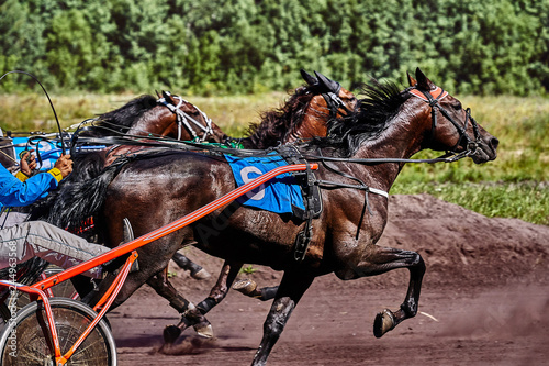 Horses run at high speed along the track of the racetrack. Competitions - horse racing.