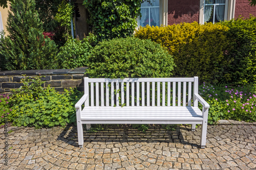 bench for rest a city landscape