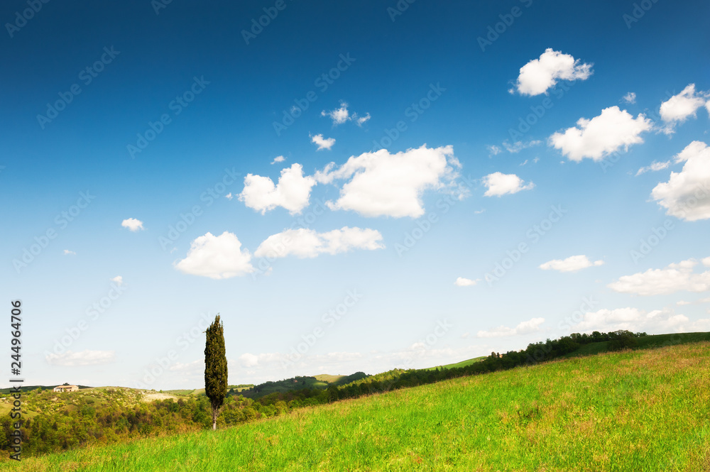 Green fields and blue sky in Tuscany, Italy.