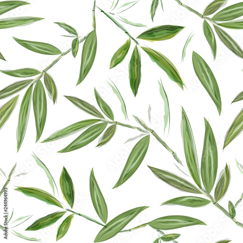 Bamboo seamless watercolor pattern. Green and white background. Floral pattern for textiles, paper, wallpaper.