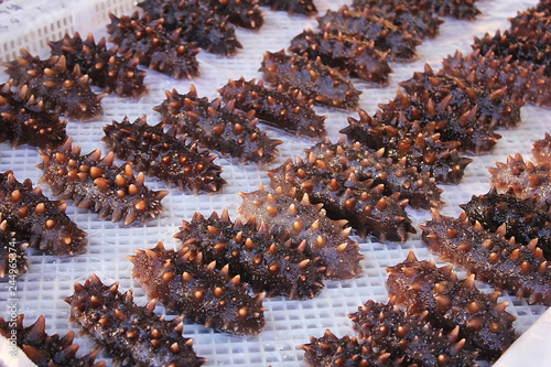 Seafood. A lot of raw fresh trepang lies in a row. Sea cucumber