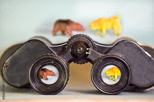 Slika na platnu Binoculars Looking at a Bear and Bull