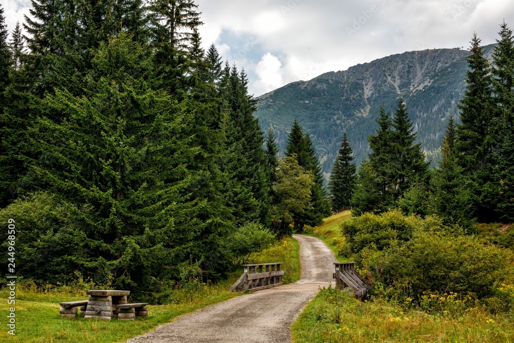 Path to the mountains through the forest in the Czech Republic. Beautiful panoramic nature in the mountains, a miracle of nature. Summer mood. Path to the mountains through the forest in the Czech Republic. Beautiful panoramic nature in the mountains, a miracle of nature. Summer mood.