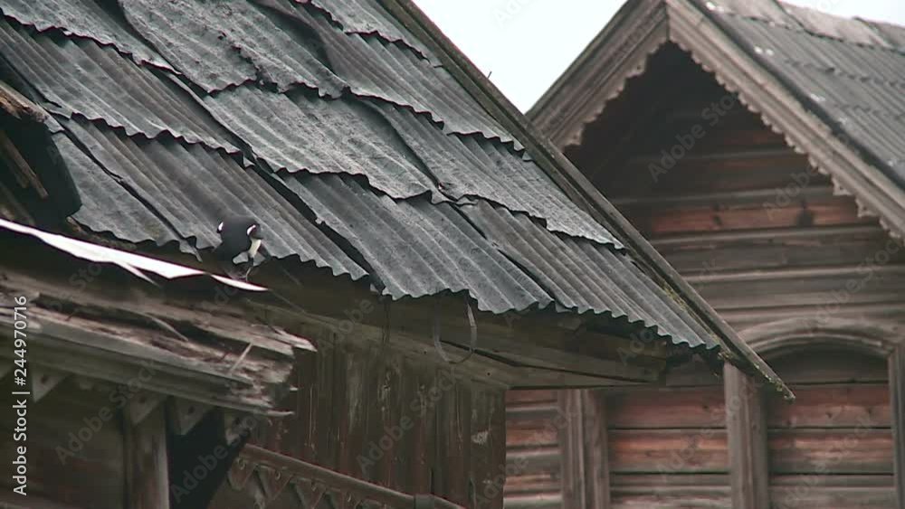 crow on the roof crow on the roof