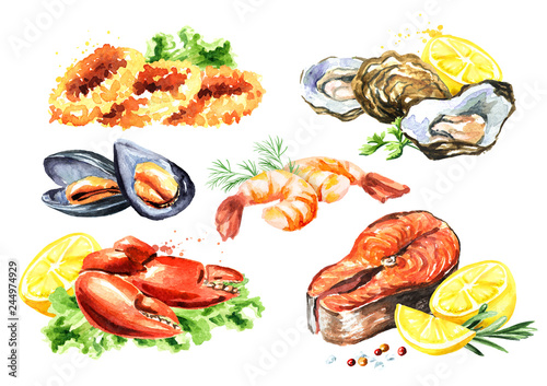 Cooked Seafood composition set with salmon, squid, crab, mussels, oysters, shrimp, lemon and greens, Watercolor hand drawn illustration isolated on white background