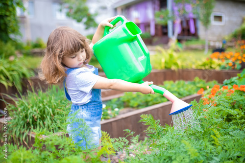 Adorable girl watering plants in the garden