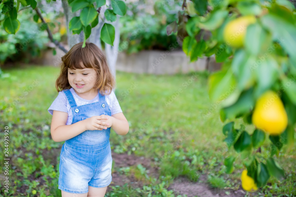 Little girl at the garden, organic fruits, pear tree Little girl at the garden, organic fruits, pear tree