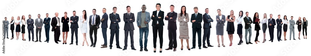 panoramic photo of a group of confident business people. panoramic photo of a group of confident business people.