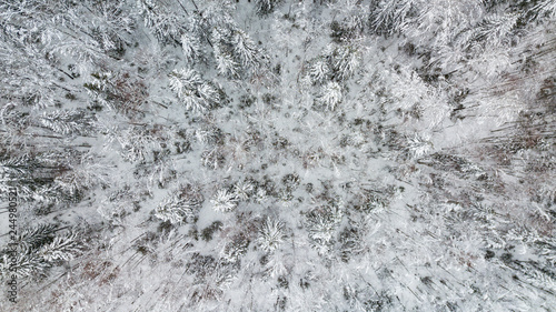 Top down aerial view over the tops of frosty forest.