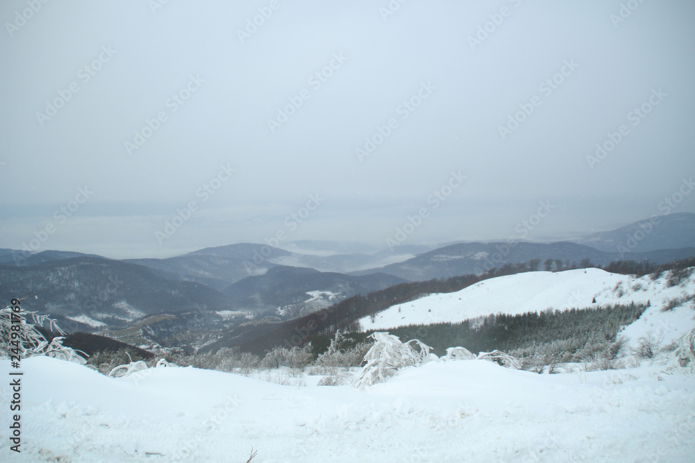 Winter in the mountains. Snowy slopes. Ski slopes Svidovets spine. Dragobrat Ukraine
