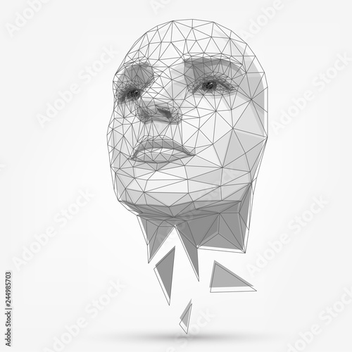 Human face, polygonal mesh, technology. Robot