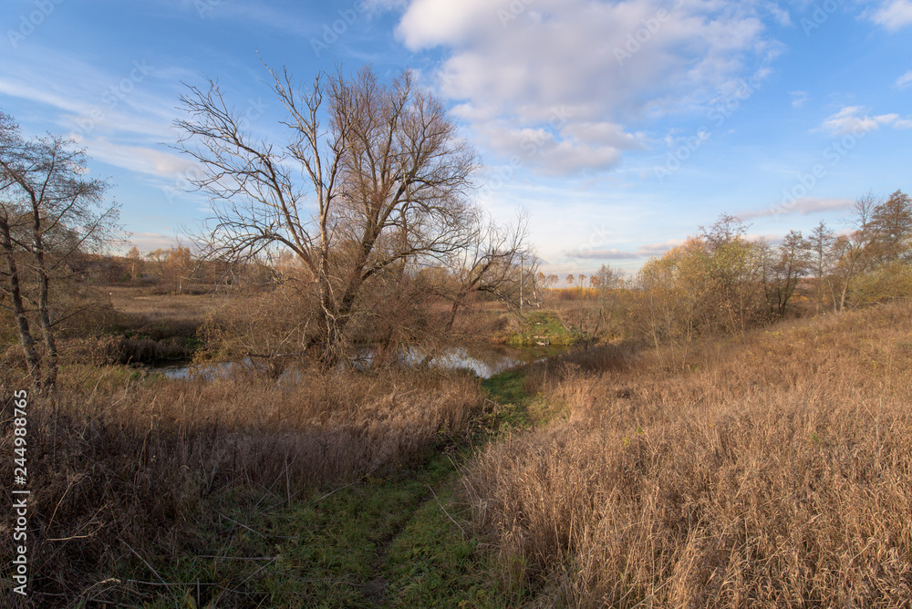 autumn colors landscape