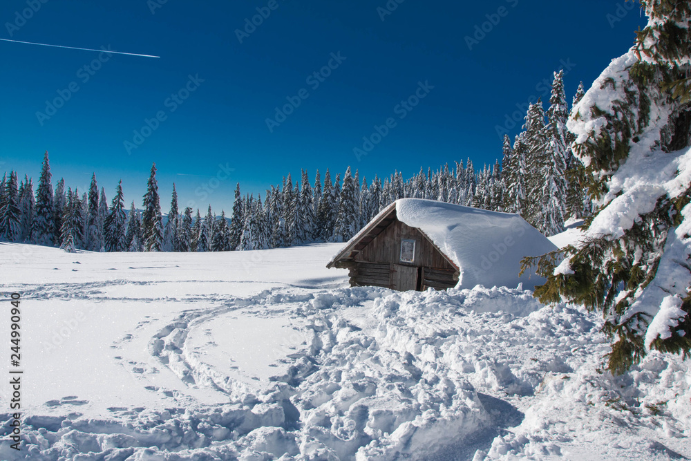 Wooden cottage under snow in the mountains