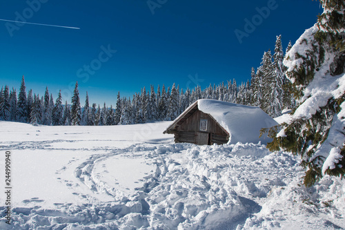 Wooden cottage under snow in the mountains