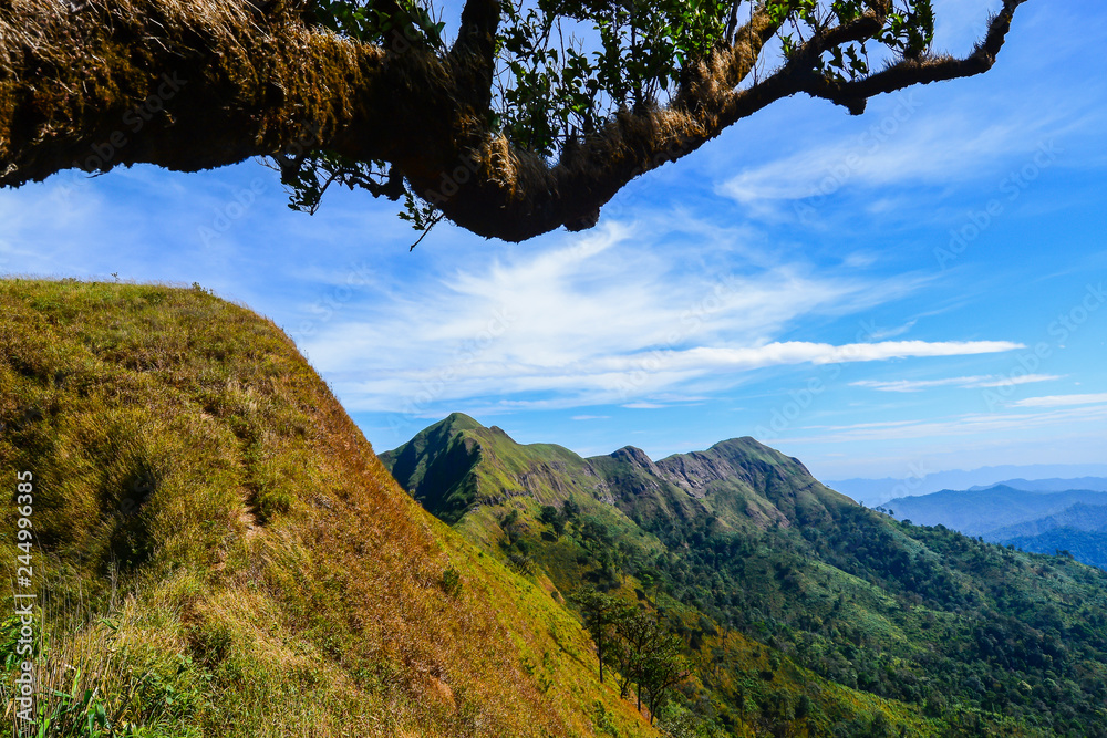 Obraz premium Khao Chang Phuak Mountain, Beautiful Mountain with grass field in Thong Pha Phum National Park, Kanchanaburi, Thailand.