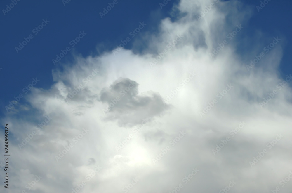 Fototapeta premium Thin and Whispy