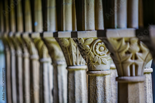 Принти на полотні Floral Detail on Column at Iona Abbey Courtyard