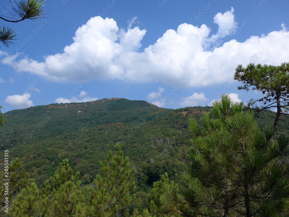 Monte Greppino (Liguria, Varazze, Savona), Strade Celtiche