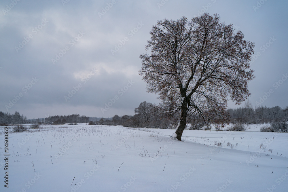 The beauty of russian snowy cloudy cold winter