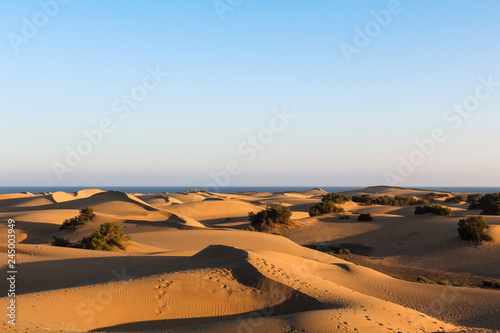 Long shadows on endless empty sand dunes in the desert in front of the ocean during sunset (Dunas de Maspalomas, Gran Canaria, Spain, Europe) photo