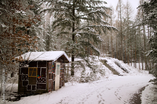 house in winter forest © Mira
