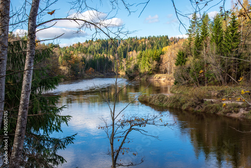 Fototapeta Naklejka Na Ścianę i Meble -  blue sky and clouds reflecting in calm water of river Gauja in latvia in autumn