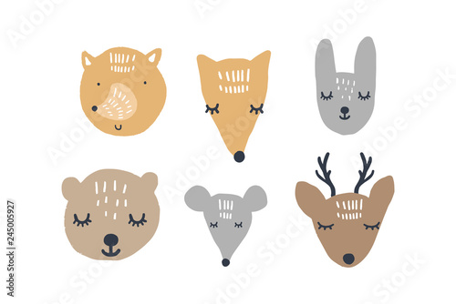 Vector illustrations of cute animals, woodland nursery collection