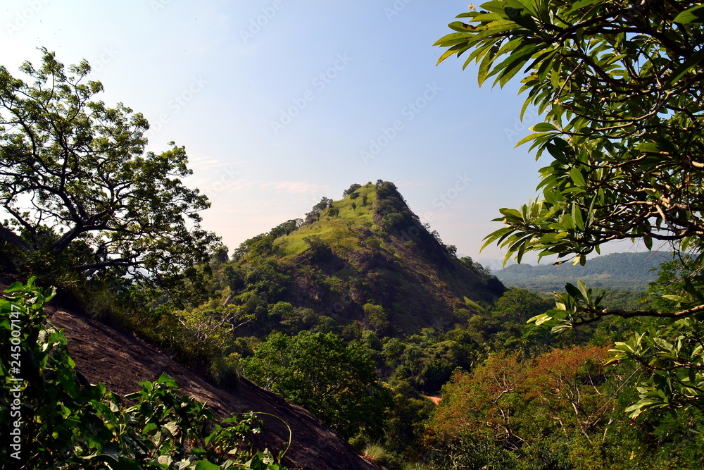 A typical shri lankan landscape