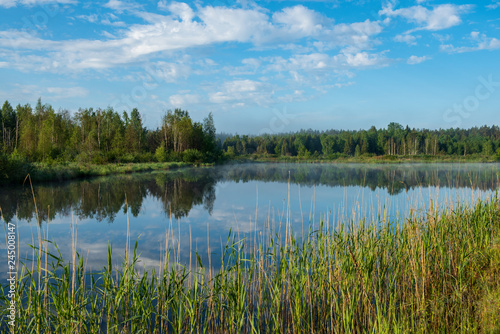 misty morning by the lake