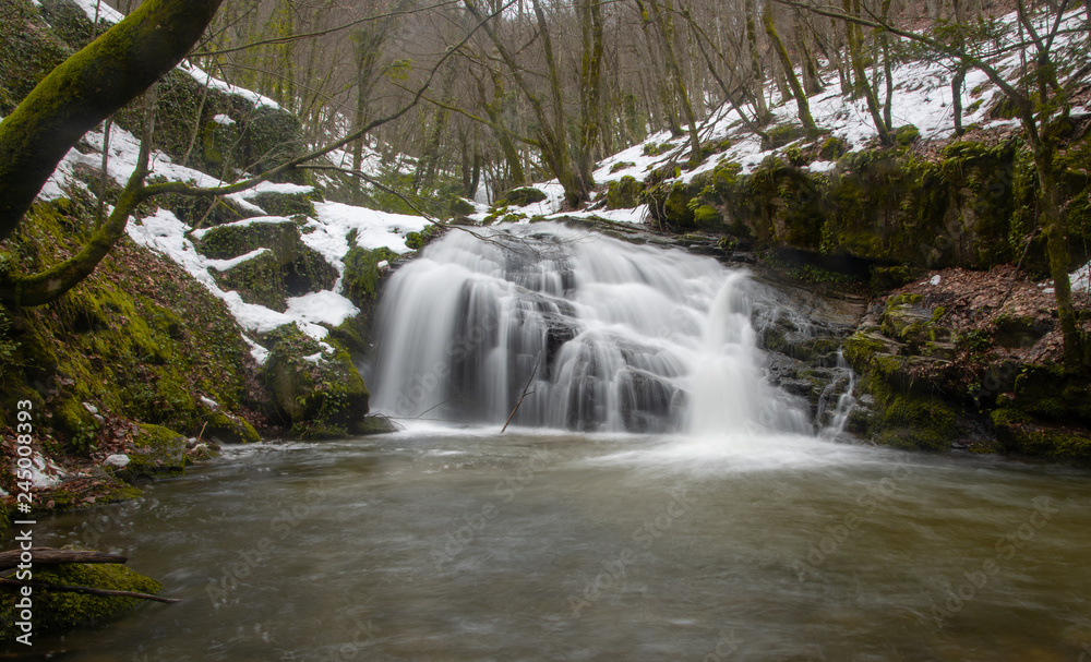 Obraz premium waterfall in forest