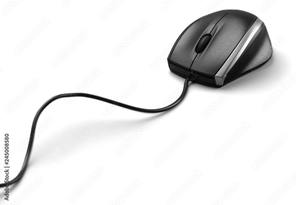 Computer Mouse