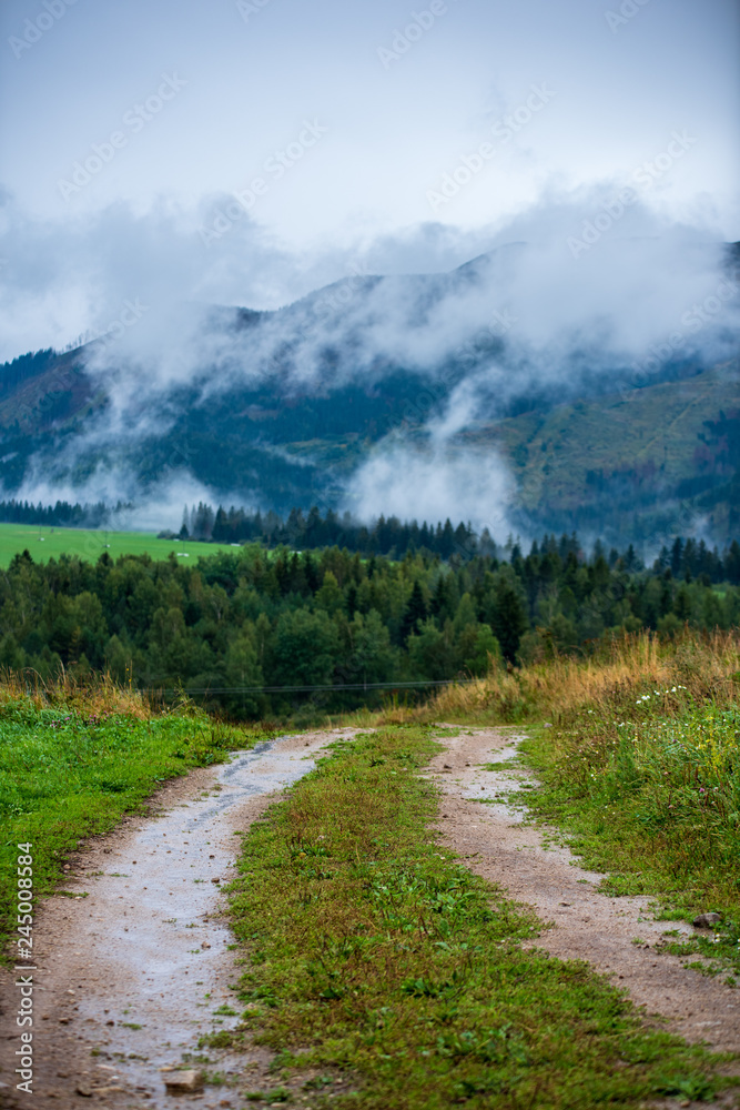 wavy asphalt road in mountain area in forest wavy asphalt road in mountain area in forest