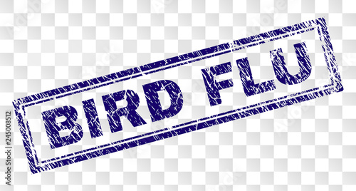 BIRD FLU stamp seal imprint with rubber print style and double framed rectangle shape. Stamp is placed on a transparent background. Blue vector rubber print of BIRD FLU title with scratched texture.