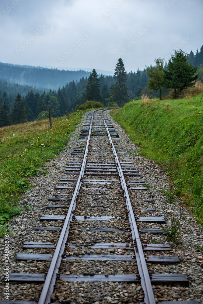 wavy log railway tracks in wet green forest with fresh meadows wavy log railway tracks in wet green forest with fresh meadows