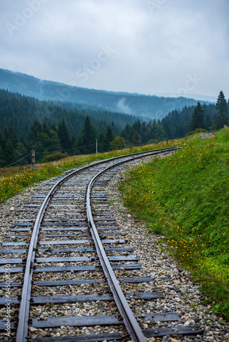 wavy log railway tracks in wet green forest with fresh meadows