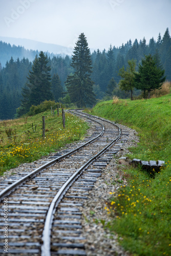 wavy log railway tracks in wet green forest with fresh meadows