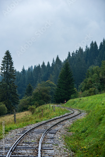 wavy log railway tracks in wet green forest with fresh meadows