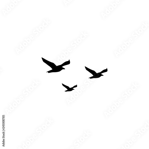 Seagull icon or logo on white