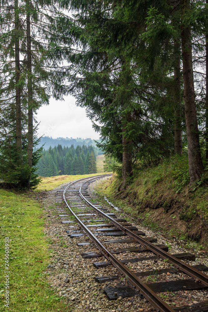 wavy log railway tracks in wet green forest with fresh meadows wavy log railway tracks in wet green forest with fresh meadows